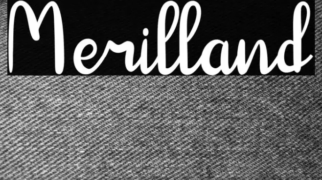 Merilland Example 3