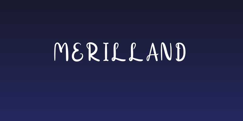 Merilland Social Header