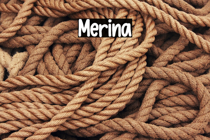 Merina Example 1