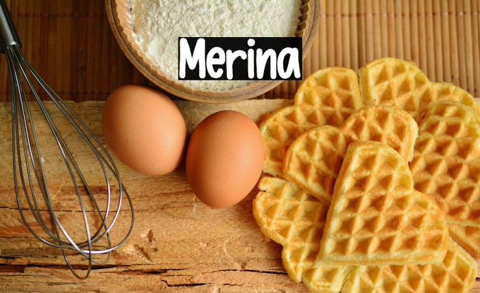 Merina Example 2