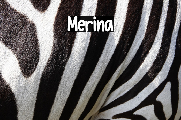 Merina Example 3