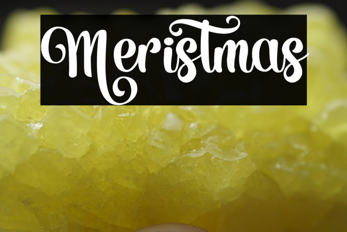 Meristmas Example 2