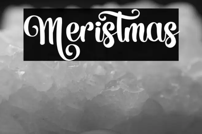 Meristmas Example 2
