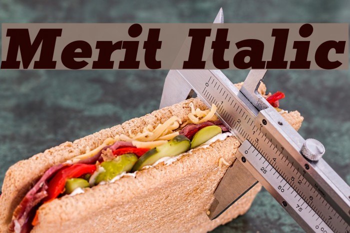 Merit Italic Font examples