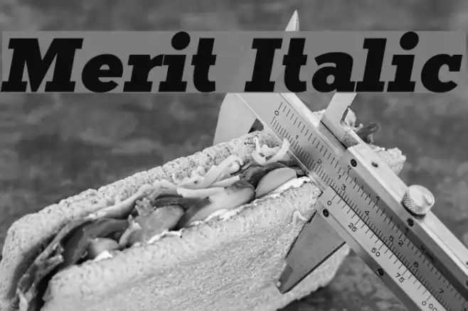 Merit Italic  examples