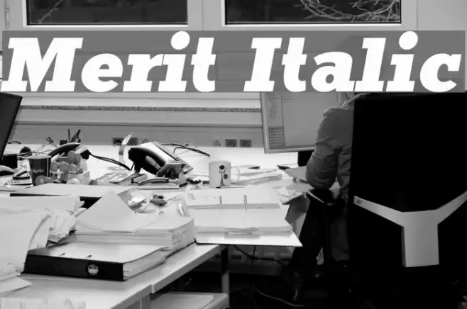 Merit Italic  examples