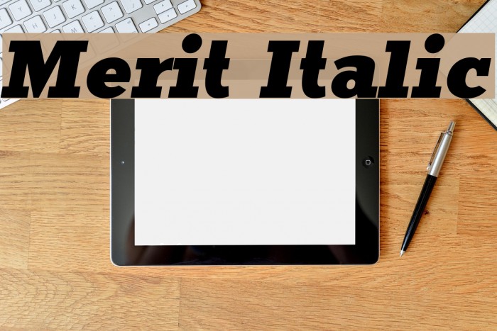 Merit Italic Font examples