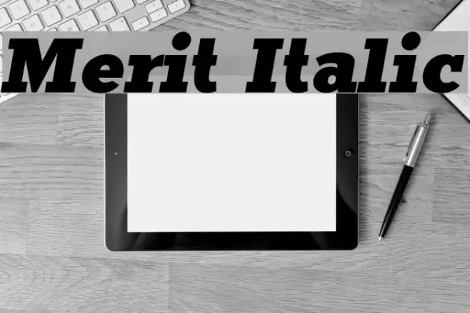 Merit Italic  examples