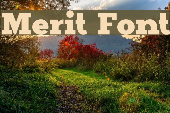 Merit Font examples