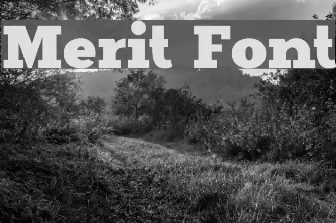 Merit Font examples