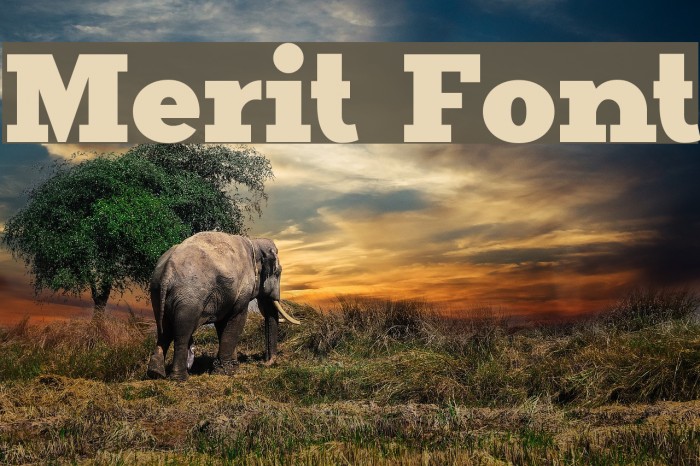 Merit Font examples