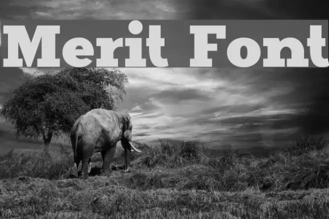 Merit Font examples