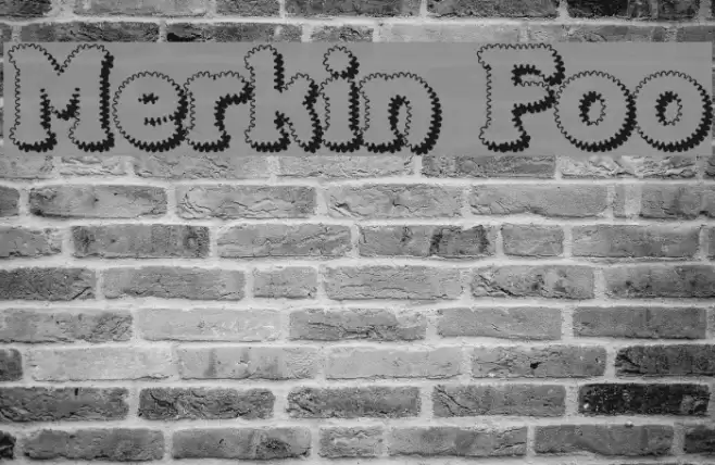 Merkin Foo Font examples
