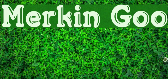 Merkin Goo Font examples