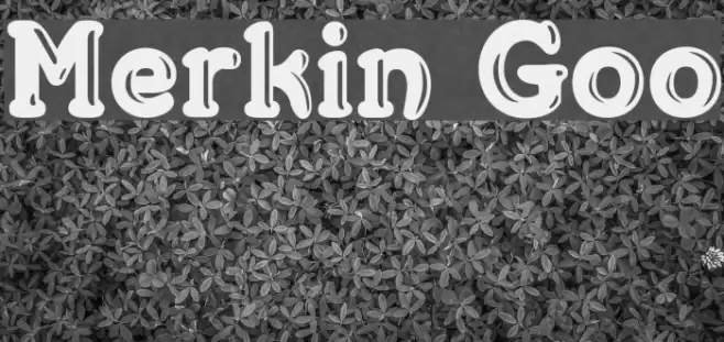 Merkin Goo Font examples