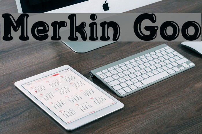 Merkin Goo Font examples