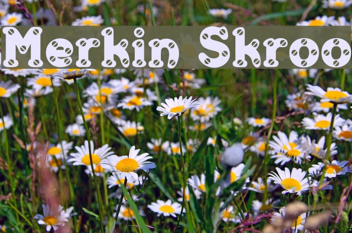 Merkin Skroo Font examples