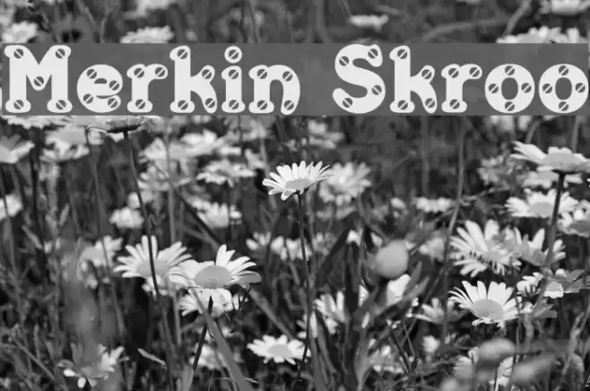 Merkin Skroo Font examples