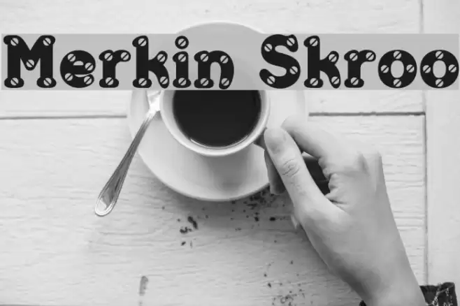 Merkin Skroo Font examples