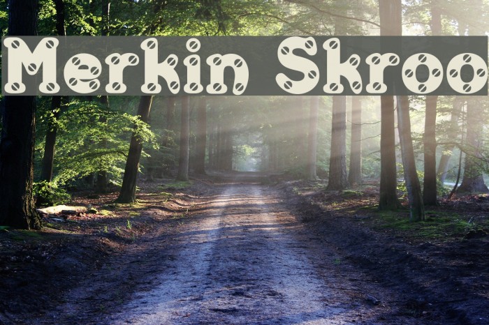 Merkin Skroo Font examples