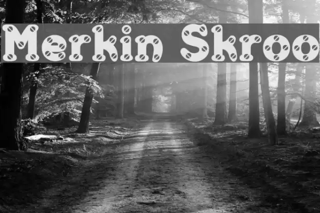Merkin Skroo Font examples