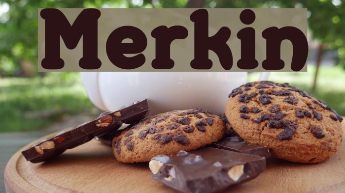 Merkin फ़ॉन्ट examples