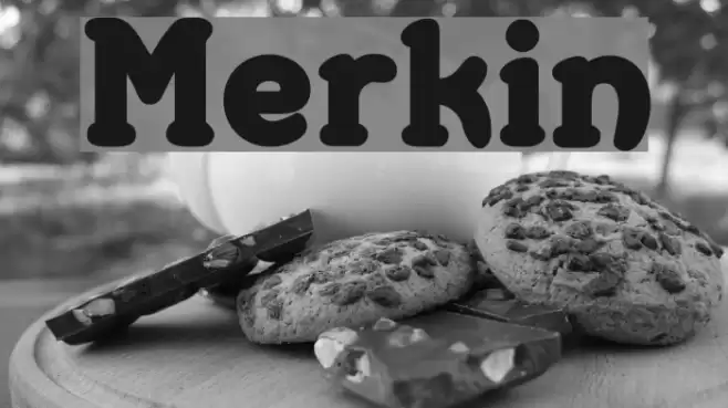 Merkin フォント examples