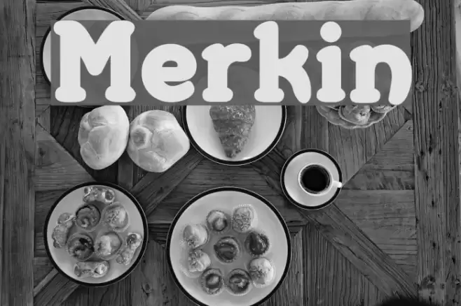 Merkin フォント examples