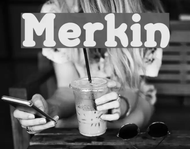 Merkin フォント examples
