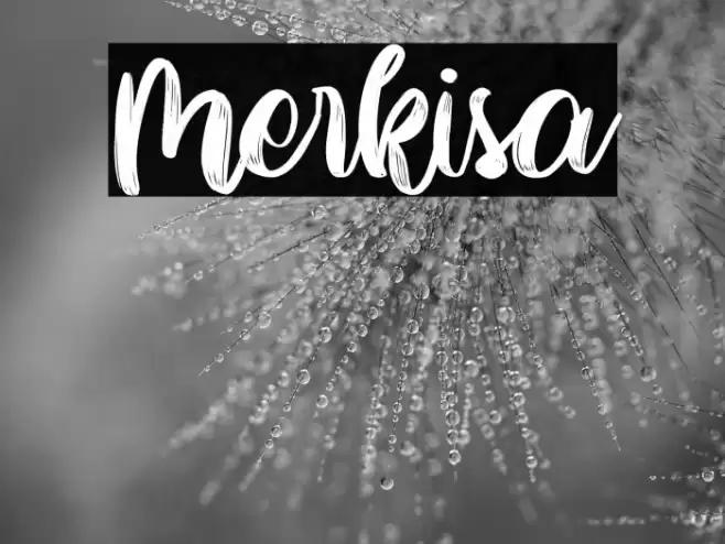 Merkisa Font examples