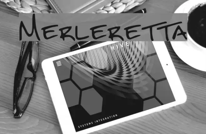 Merleretta Example 1