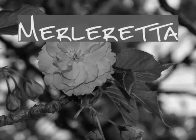 Merleretta Example 2