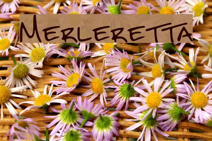Merleretta Font examples