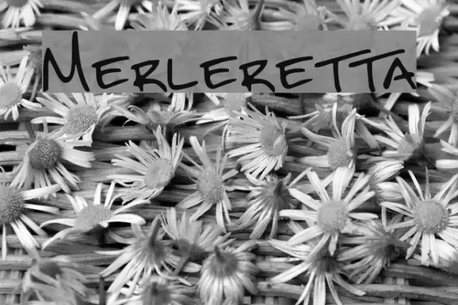 Merleretta Example 3