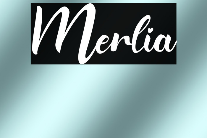 Merlia Example 1