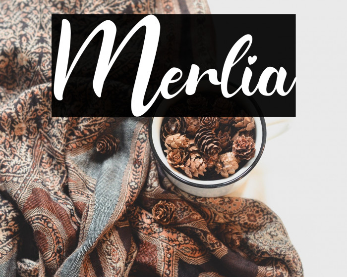 Merlia Example 2
