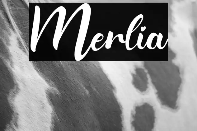Merlia Example 3