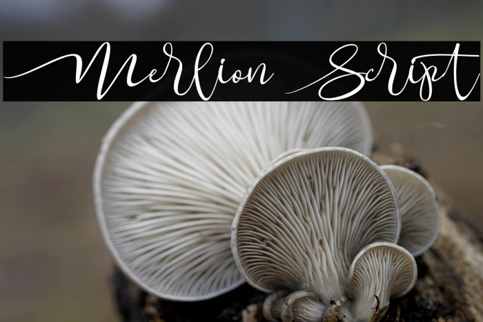 Merlion Script Example 2