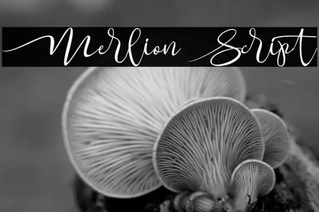 Merlion Script Example 2