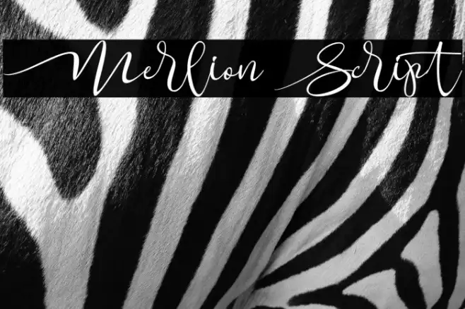 Merlion Script Example 3