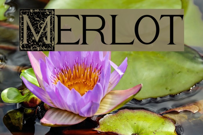 Merlot Font examples