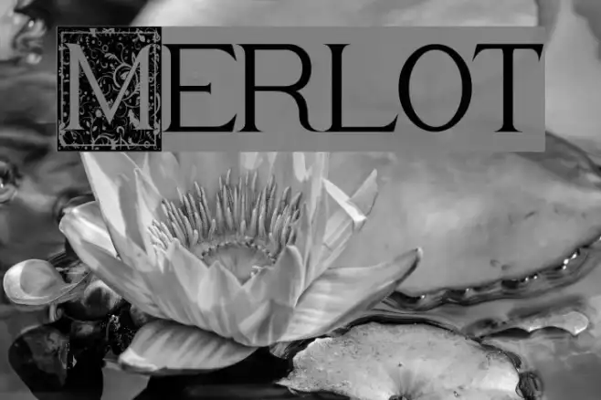 Merlot Example 1