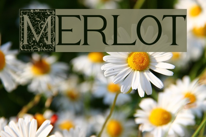 Merlot Font examples