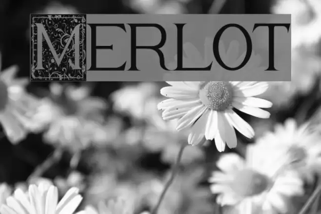 Merlot Example 2