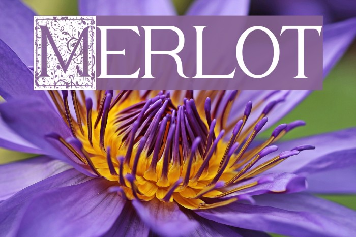Merlot Font examples