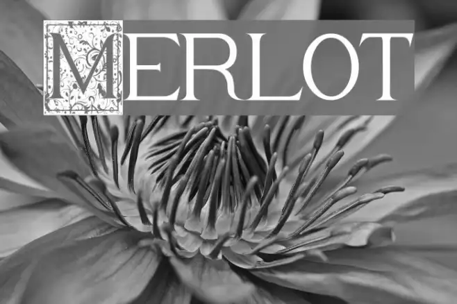 Merlot Example 3