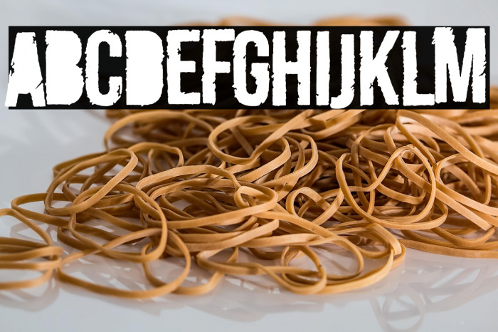 Merluza Company Example 1