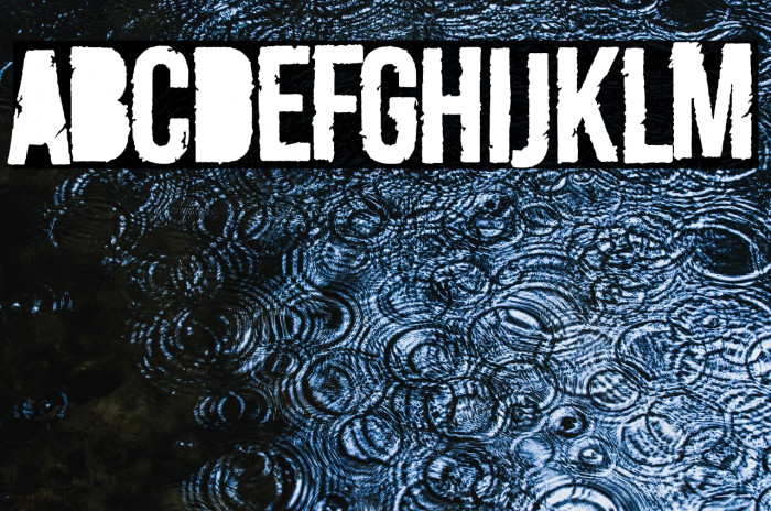 Merluza Company Example 2