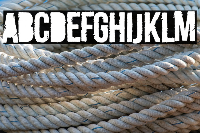 Merluza Company Example 3