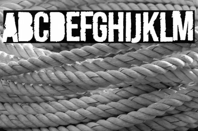 Merluza Company Font examples